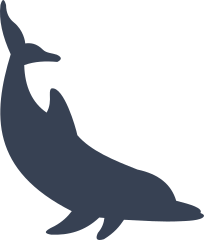 Active Dolphin Sticker