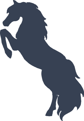 Active Horse Sticker