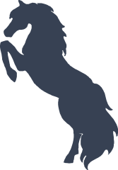 Active Horse Sticker