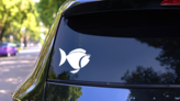 Adorable Fish Sticker on a Rear Car Window (New) example