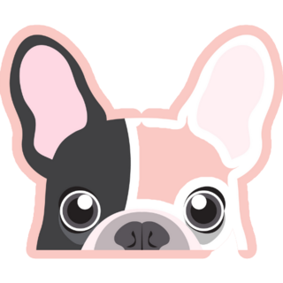 Adorable Frenchie Is Begging Sticker