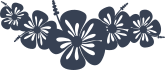 Adorable Hibiscus Flowers Border Sticker