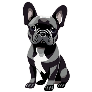 Adorable Looking Black French Bulldog Sticker