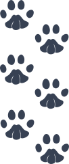 Adorable Paw Prints Sticker