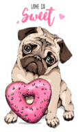 Adorable Puppy Pug With A Pink Heart Donut Love Is Sweet Sticker