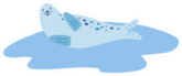 Adorable Sea Lions In Puddle Sticker