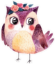 Adorable Watercolor Owl With Flowers Sticker