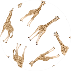 Adult Giraffe And Baby Giraffe Pattern Sticker