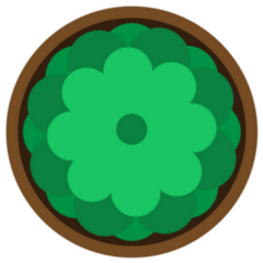 Aerial View Green Succulent Plant Sticker