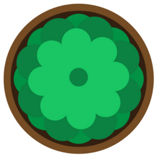 Aerial View Green Succulent Plant Sticker