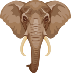 African Elephant Head Sticker