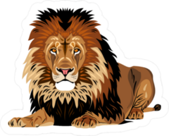 African Lion Lying Sticker