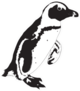African Penguin Hand Drawn Illustration Sticker