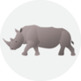African Rhino Isolated On White Sticker