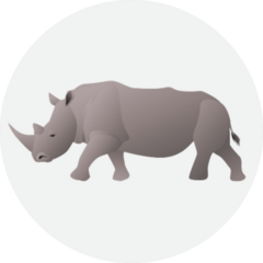 African Rhino Isolated On White Sticker