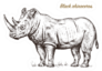 African Rhinoceros Ink Sketch Lettering Sticker