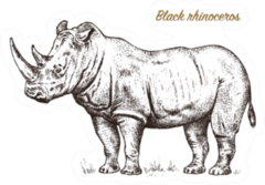 African Rhinoceros Ink Sketch Lettering Sticker