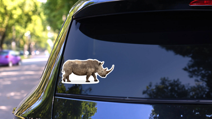 African Southern White Rhino With Large Pointy Horn Sticker on a Rear Car Window (New) example