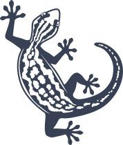 Agile Lizard Gecko Sticker