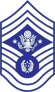 Air Force Rank E-9 Chief Master Sergeant Of The Air Force Stick