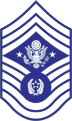 Air Force Rank E-9 Chief Master Sergeant Of The Air Force Stick