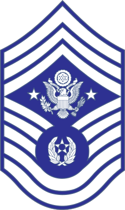 Air Force Rank E-9 Chief Master Sergeant Of The Air Force Stick