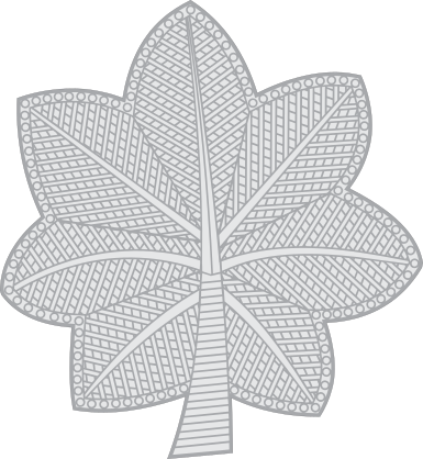 Air Force Rank O-5 Lietenant Colonel Sticker