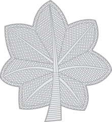 Air Force Rank O-5 Lietenant Colonel Sticker