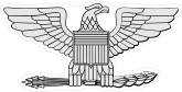 Air Force Rank O-6 Colonel Sticker