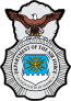 Air Force Security Forces Badge Sticker