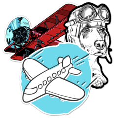 Airplane Thumbnail