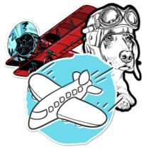 Airplane Thumbnail