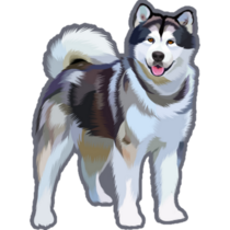 Alaskan Husky Sticker