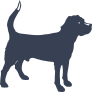 Alert Dog Sticker