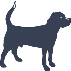 Alert Dog Sticker