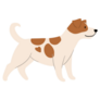 Alert Jack Russell Sticker
