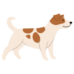Alert Jack Russell Sticker