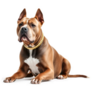 Alert Pit Bull Sticker