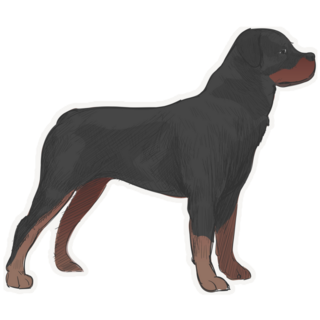 Alert Rottweiler Sticker