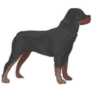 Alert Rottweiler Sticker
