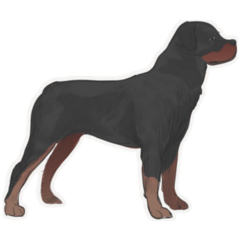 Alert Rottweiler Sticker