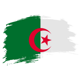 Algeria Brush Stroke Flag Sticker