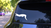 Alligator Crocodile Eating Sticker on a Rear Car Window (New) example