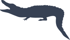 Alligator Crocodile Eating Sticker