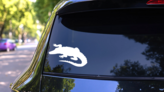 Alligator Crocodile Sticker on a Rear Car Window (New) example