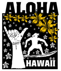 Aloha Hawaii Illustration Sticker