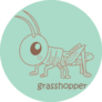 Alphabet G For Grasshopper Vocabulary Sticker 