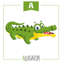 Alphabet Letter A For Alligator Sticker