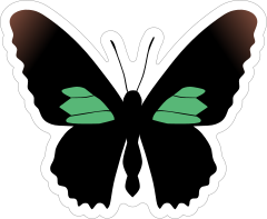 Amazing Butterfly Sticker