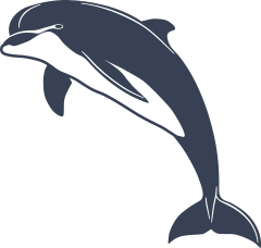 Amazing Dolphin Sticker